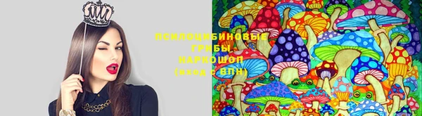 MESCALINE Новокубанск