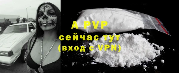 ALPHA-PVP Новозыбков