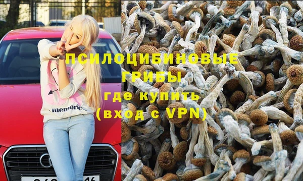 ALPHA-PVP Новозыбков