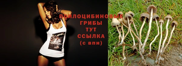 кристаллы Новодвинск