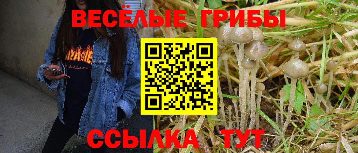 Псилоцибиновые грибы мухоморы Чусовой