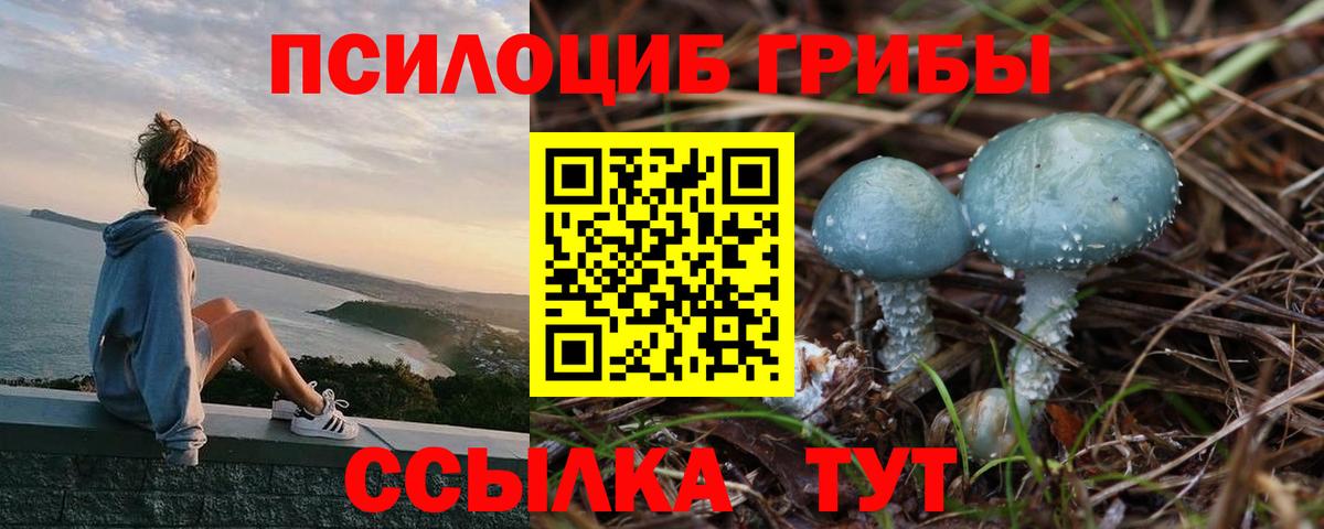Псилоцибиновые грибы Psilocybine cubensis  Вход с VPN  Чусовой  Псилоцибиновые грибы прущие грибы 